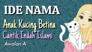 Baru) Nama Kucing Yang Bagus Dalam Islam ( Nama Anak Kucing Perempuan Betina Cantik Lucu ) Awalan A - Youtube